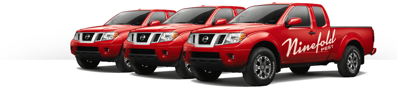 3 red trucks