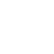 shield icon