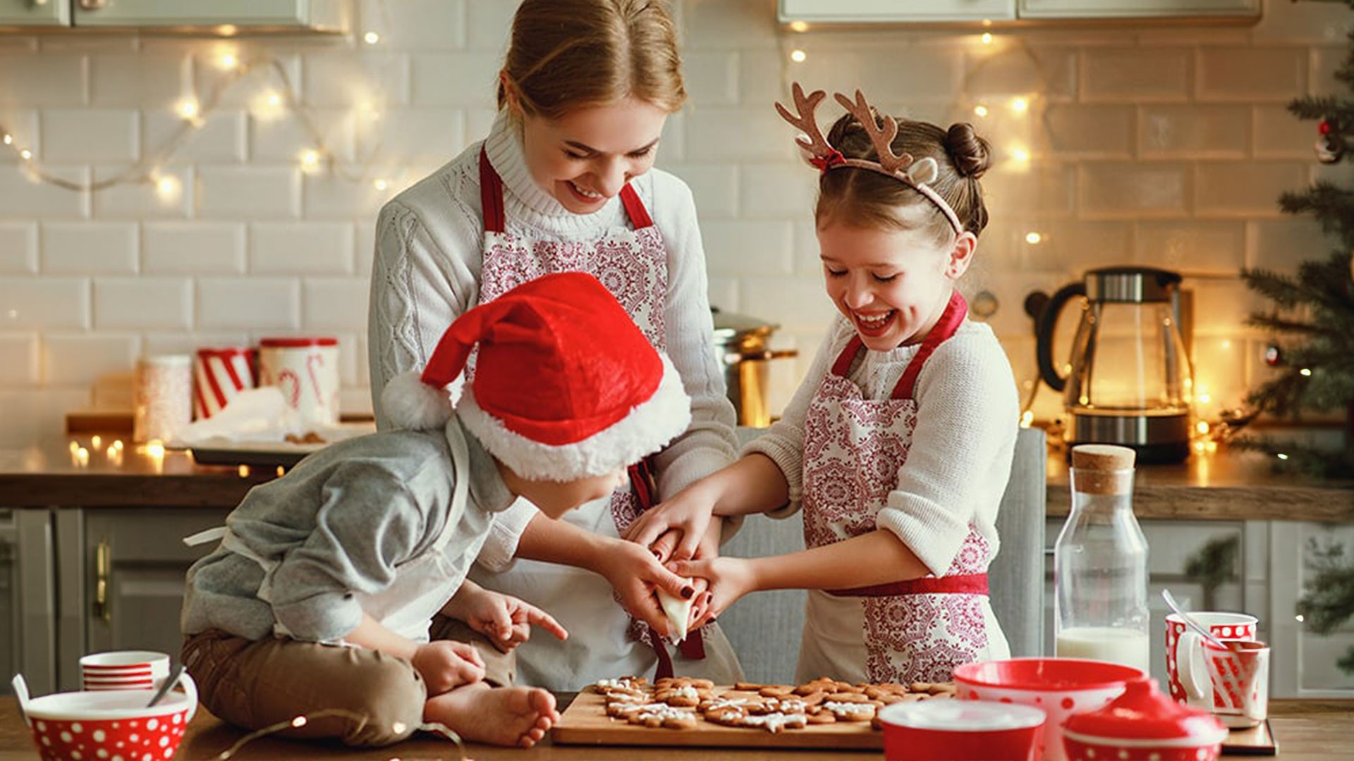How To Keep Your Holiday Pest-Free — Bed Bugs | Ninefold Pest