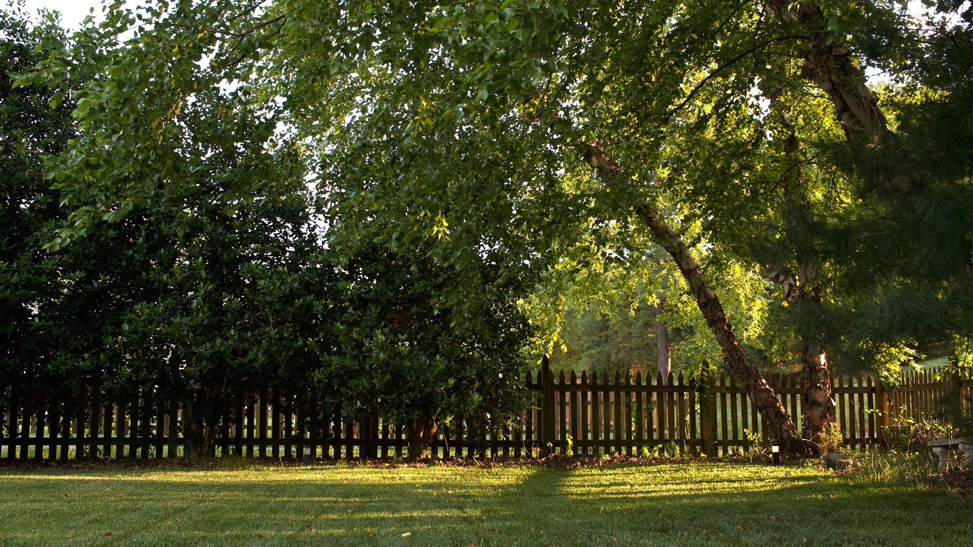Alabama Pest Control: Seasonal Tips for Year-Round Protection — Residential Pest Control | Ninefold Pest