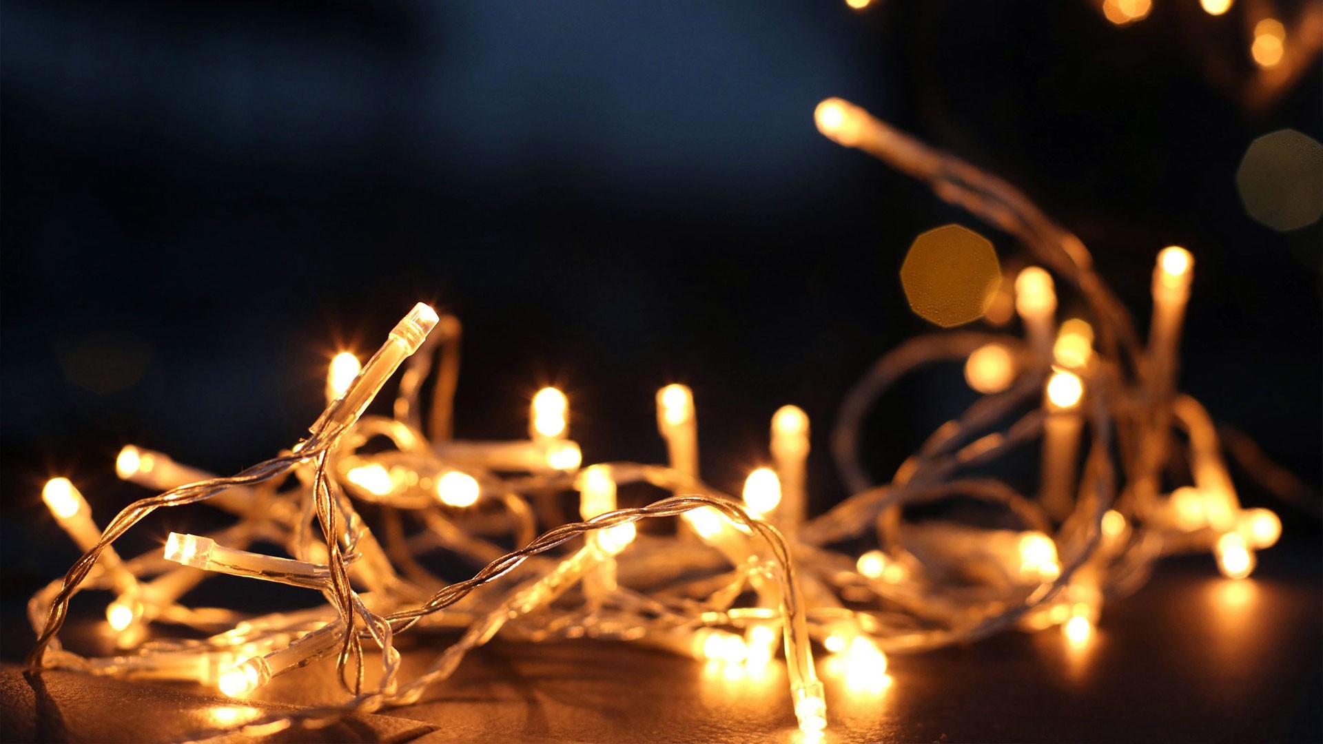 Holiday Decorations and Pests: What to Check Before You Decorate — Residential Pest Control | Ninefold Pest
