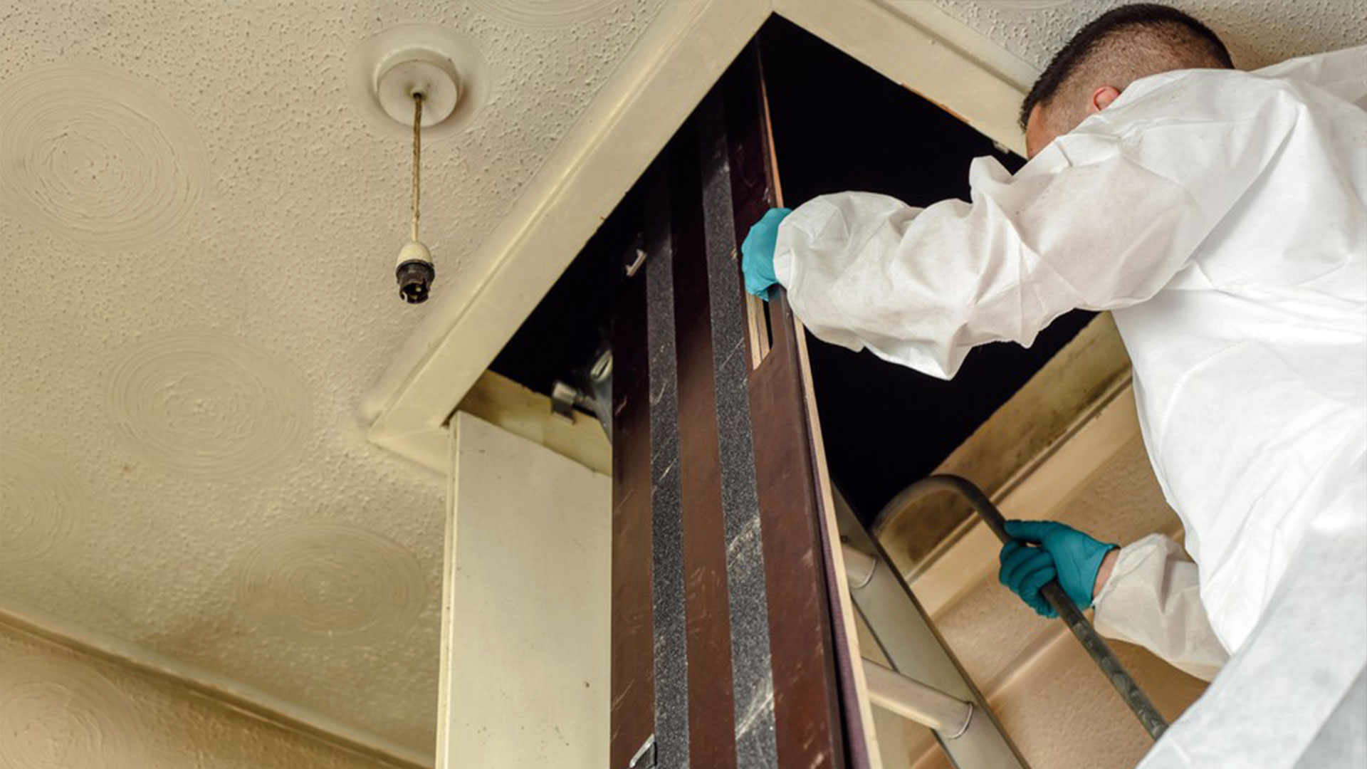 Why Regular Pest Inspections Are Crucial in Alabama — Residential Pest Control | Ninefold Pest