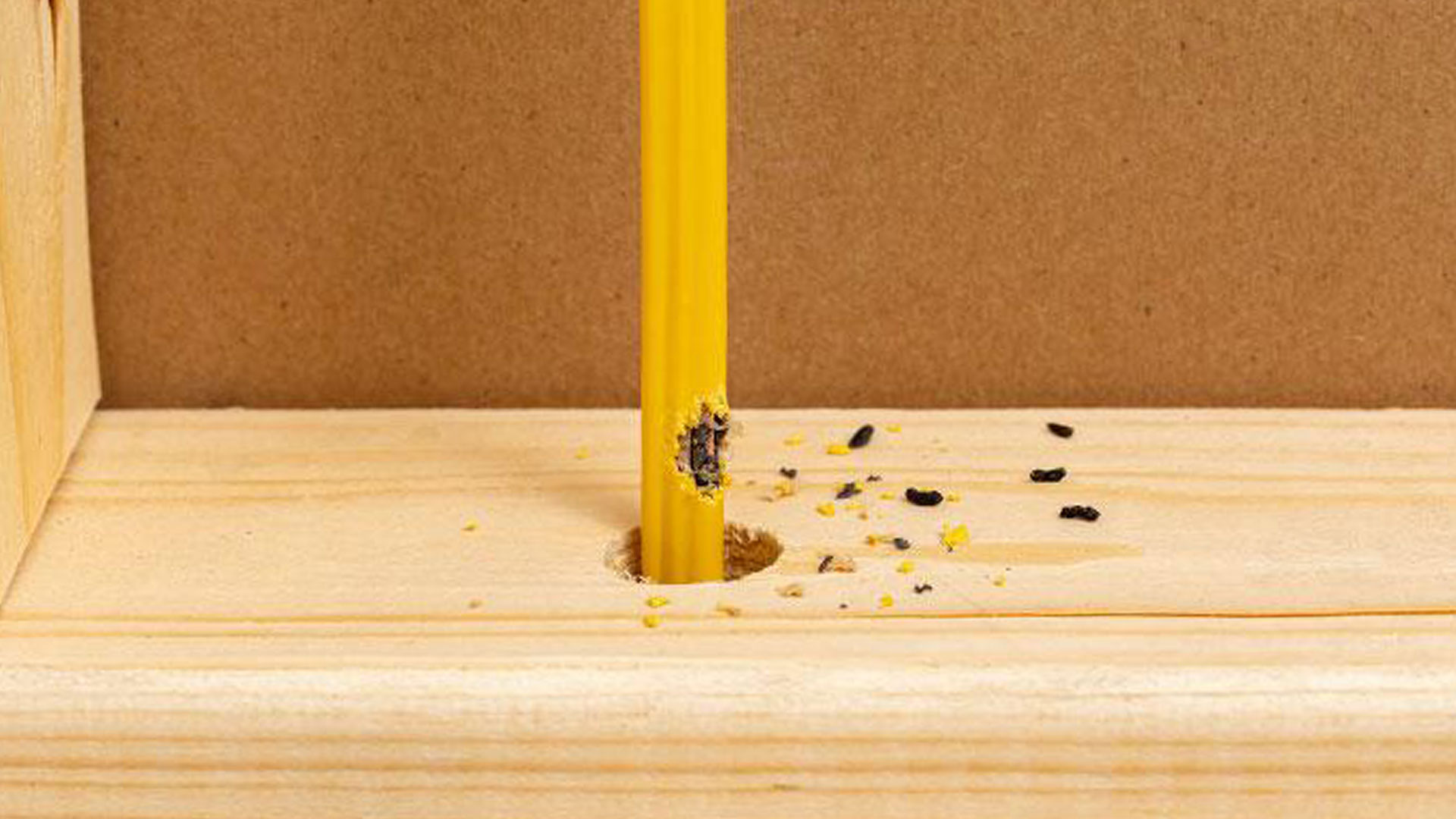 Where Do Rodents Hide In Virginia Homes? — Residential Pest Control | Ninefold Pest