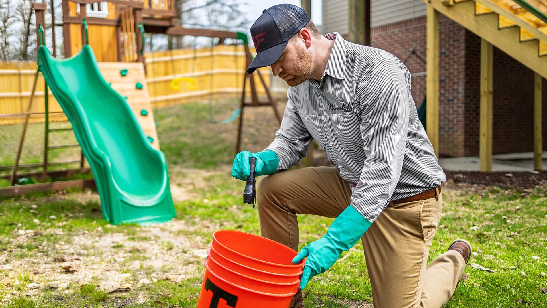 Tips for Keeping Rodents and Spiders Out of Your Home — Rodents | Ninefold Pest