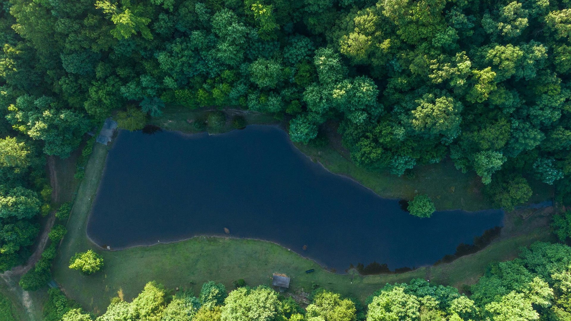 How Humidity Affects Pest Activity in Alabama Homes — Residential Pest Control | Ninefold Pest