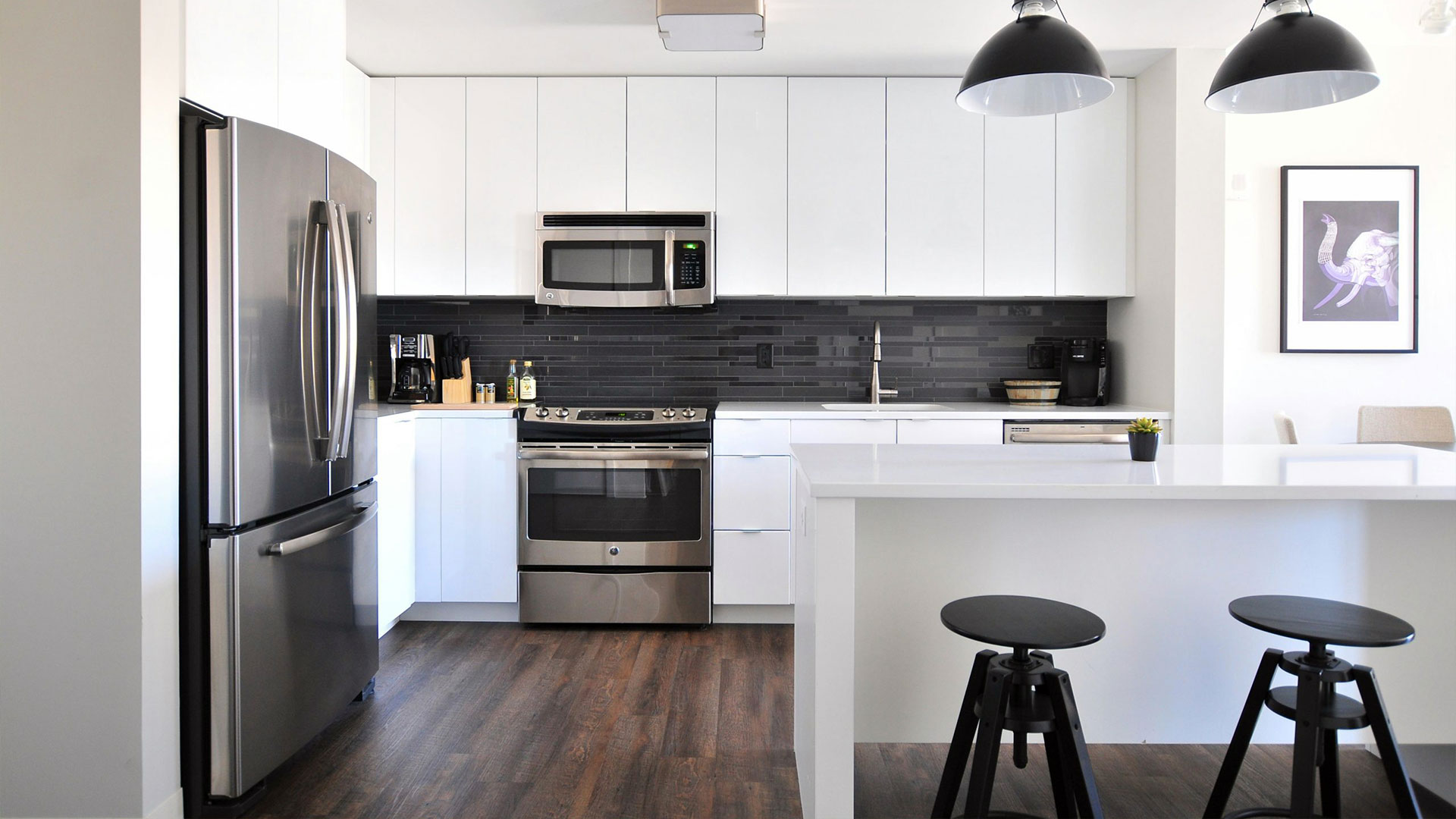 DIY Pest Control vs. Professional Services: When to Call an Expert — Residential Pest Control | Ninefold Pest