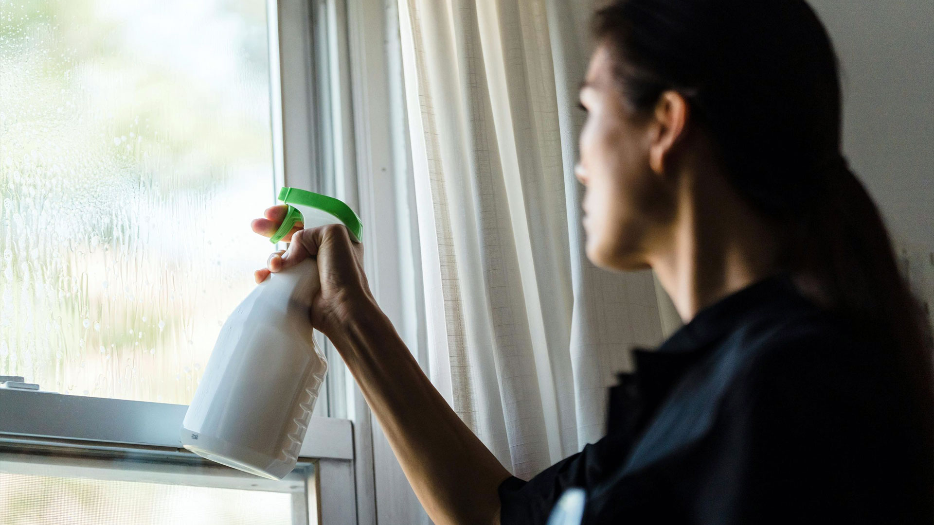 How to Safely Manage Pests Without Harsh Chemicals — Residential Pest Control | Ninefold Pest