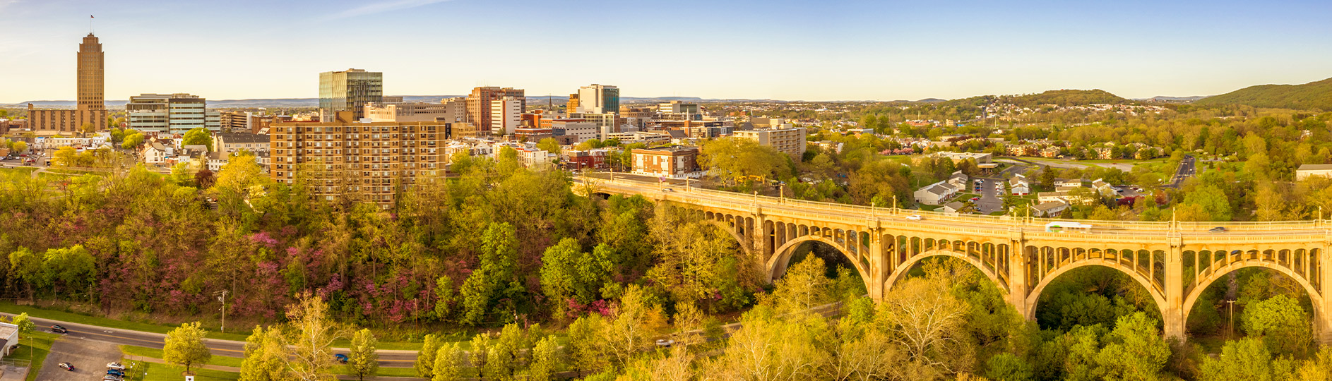 cityscape with a bridge and trees