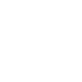 Ant icon