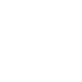 Beetle icon