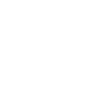 Cockroach icon