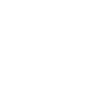 Silverfish icon