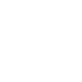 Spider icon