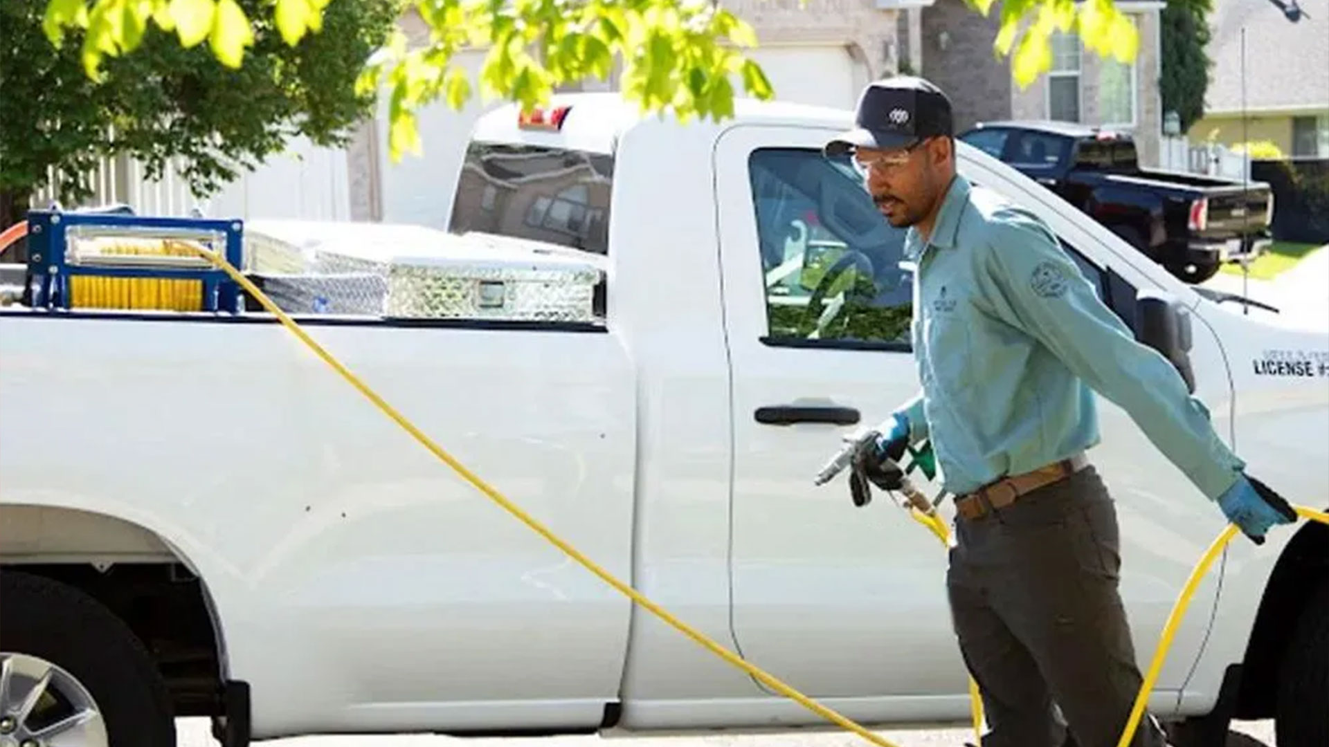 Eco-Friendly Pest Control Solutions for Conscious Homeowners — Residential Pest Control | Ninefold Pest